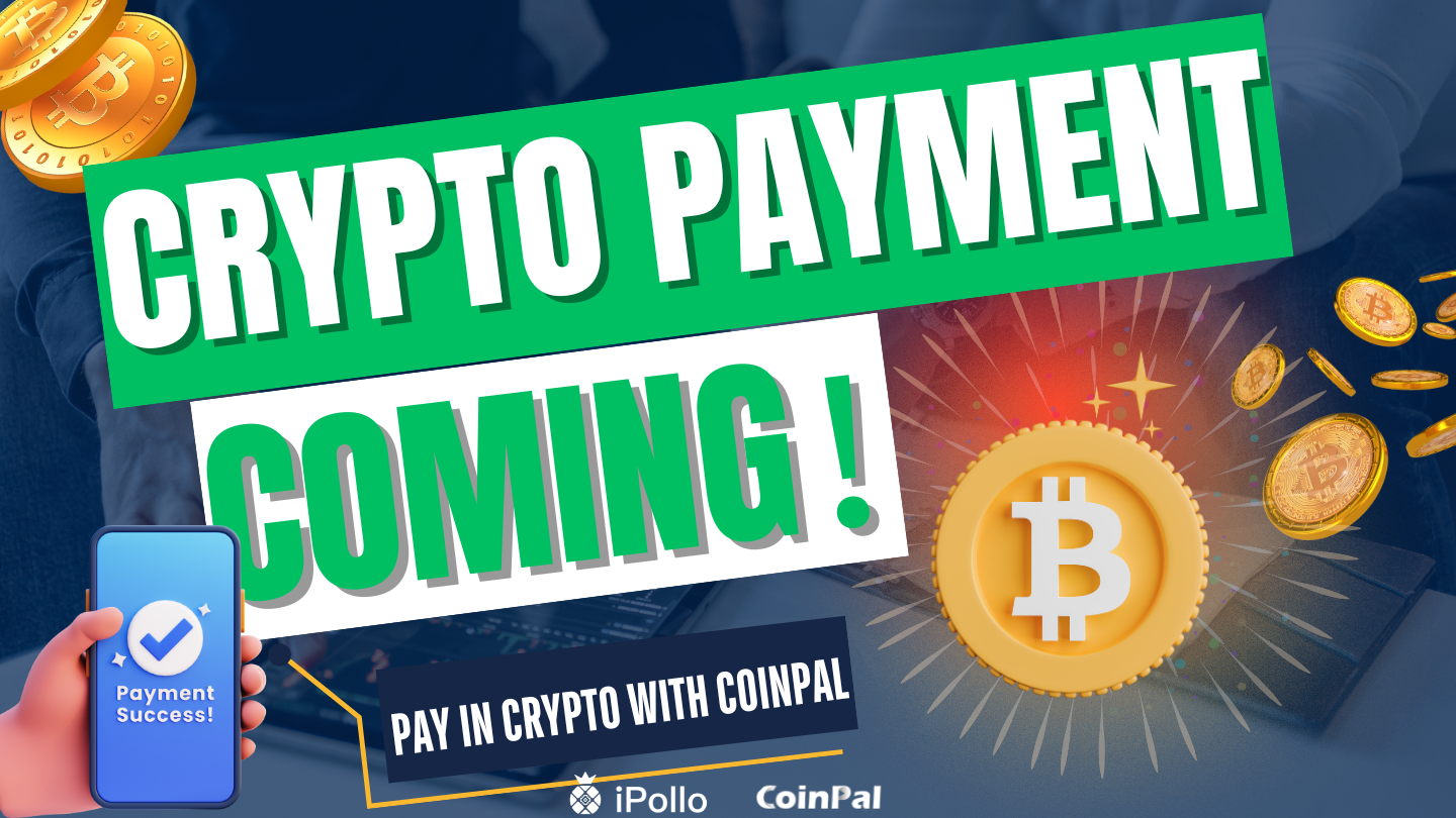 iPollo- asic miner – iPollo Store