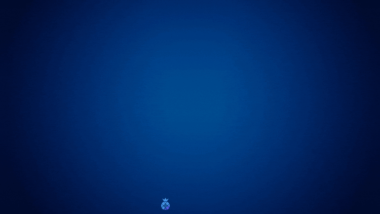 iPollo- asic miner – iPollo Store